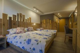 Hotel Negritella - Folgarida - 5