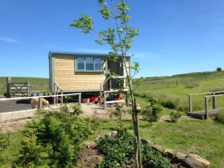 Lizzie off grid Shepherds Hut The Buteland Stop - Bellingham - 1