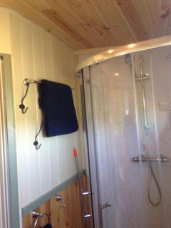 Lizzie off grid Shepherds Hut The Buteland Stop - Bellingham - 7