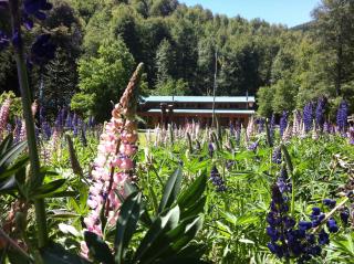 Hotel Boutique Nalcas - 4