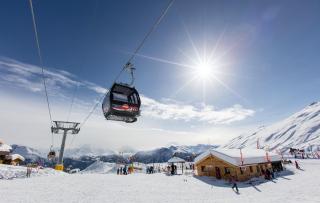 Arnika - Blatten bei Naters - 5