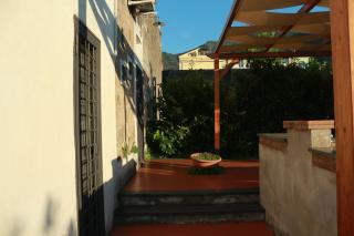 Desiderio D'Ammore - Corbara - 5