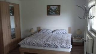Studio apartman Trdina - 1