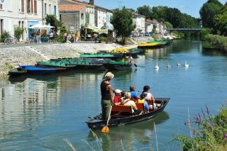 La Libellule - Coulon - 3