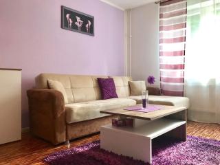 Comfort Apartments close to Hannover Exhibition - 0