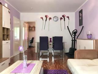 Comfort Apartments close to Hannover Exhibition - 2