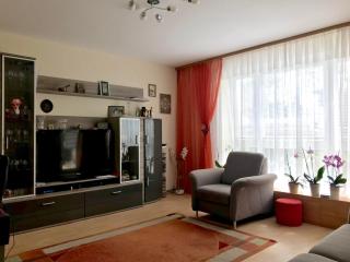 Comfort Apartments close to Hannover Exhibition - 4