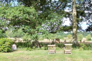 Le Cerf Volant - Adainville - 5