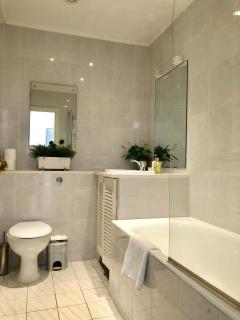 Stylish Apartments in Victoria & Westminster - London - 5