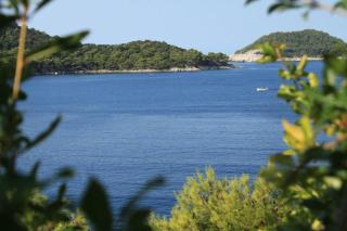 Apartments by the sea Ubli, Lastovo - 8344 - 3