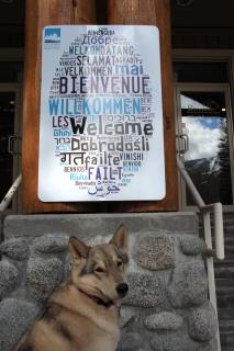 Riverside Resort - Whistler - 5