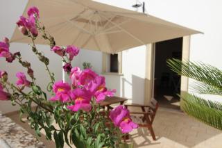 Home Holiday Salento Casa Agrosì Don Camillo - Presicce - 5