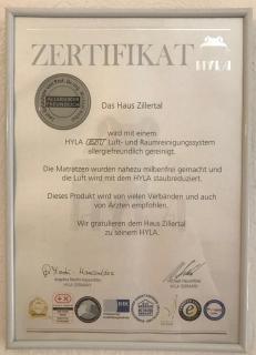 Haus Zillertal am Achensee - Maurach - 6