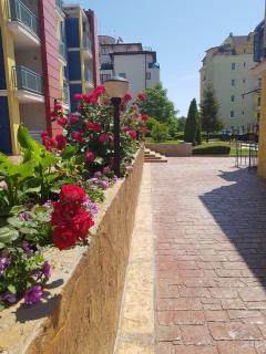 Studios in Complex Elit 4 - Sunny Beach - 7