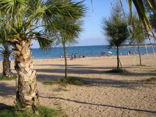 Camping les Acacias - Fréjus - 5
