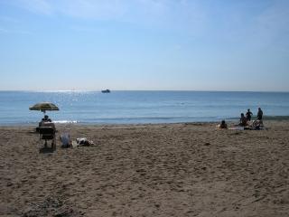 Camping les Acacias - Fréjus - 1