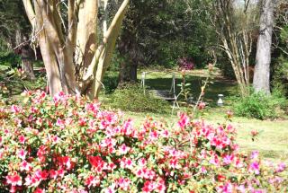 Glenfield Plantation Historic Antebellum Bed and Breakfast - Natchez - 1