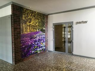 Janosik - Stettin - 3