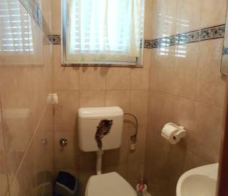 Apartman Leon - Šibenik (Sebenico) - 1