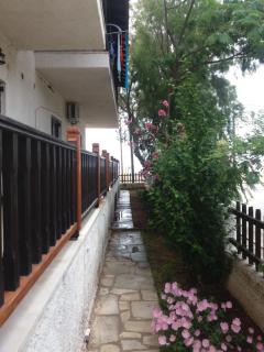 House Kosmas on the beach - Sarti - 6