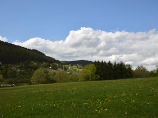 Cosy holidayhome near the forest - Zendscheid - 1