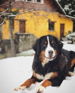Los Juncos Patagonian Lake House - Bariloche - 7