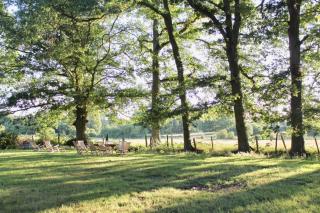 Le Cerf Volant - Adainville - 8