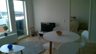 Lutakko Apartment with free car parking - Jyväskylä - 1
