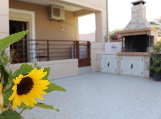 Helianthus - Agia Pelagia - 9