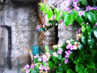 Jelsa Apartments - 1