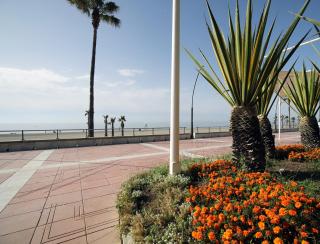 Victoria Apartment - Estepona - 2