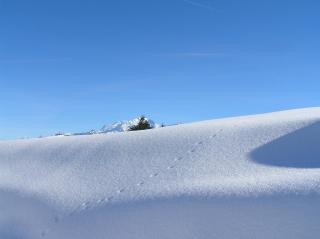 Chez Laurette et Louis - Ugine - 9