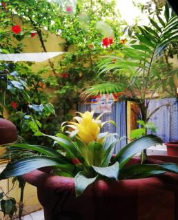 Hotel Le Pelagie - Lampedusa - 1