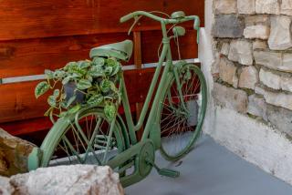 Vintage Garden Apartment - Pula - 4