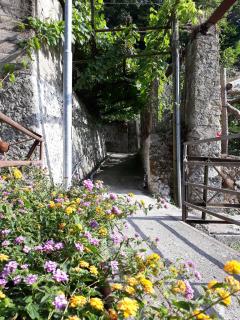 Casa Clotide - Maiori - 1