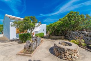 Barcelo-Danus - Portocolom - 2