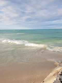 Organic Roots Villa - 3