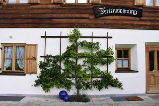 Chalet Menkenhof - Reit im Winkl - 5
