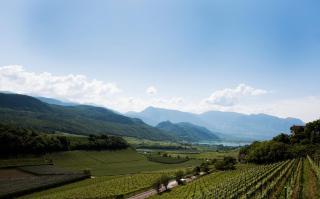 Apartments Windegg - Caldaro - 0