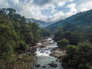 Moselberg Riverside Cottages - Munnar - 3