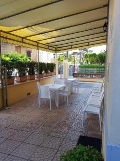 Hotel Margot - Lido di Camaiore - 7