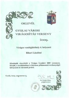 GyulApartman - Gyula - 3