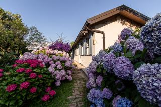 Villa Hermes - San Ferdinando - 5