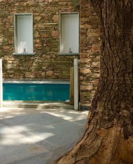 The Neem Tree - Udaipur - 6