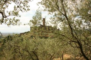 La Torre - Castiglion Fiorentino - 8