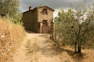 La Torre - Castiglion Fiorentino - 9