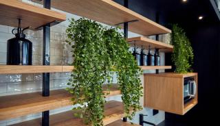 Gr8 Hotel Oosterhout - Oosterhout - 1
