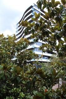 Apartman Bošković - Budva - 2