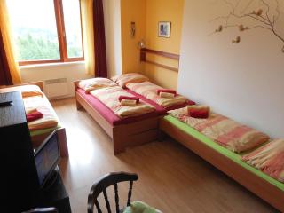 Apartment Ramzová Adam 25 - Ramzová - 8