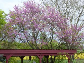 Chalet aux pied des vignes - Montigny - 7